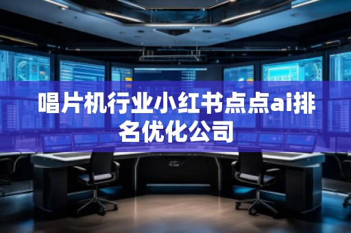 唱片机行业小红书点点ai排名优化公司