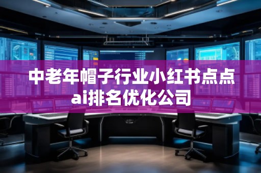中老年帽子行业小红书点点ai排名优化公司