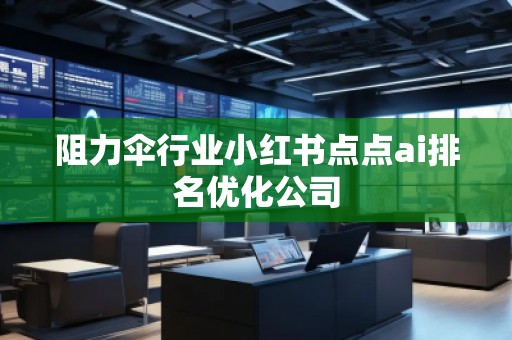 阻力伞行业小红书点点ai排名优化公司