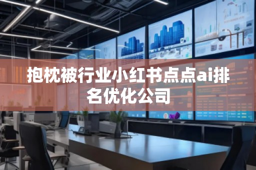 抱枕被行业小红书点点ai排名优化公司