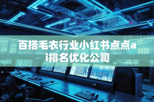 百搭毛衣行业小红书点点ai排名优化公司