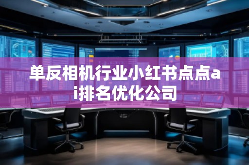 单反相机行业小红书点点ai排名优化公司