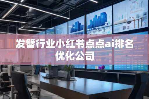 发簪行业小红书点点ai排名优化公司
