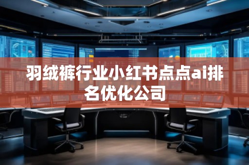 羽绒裤行业小红书点点ai排名优化公司