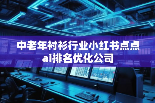 中老年衬衫行业小红书点点ai排名优化公司