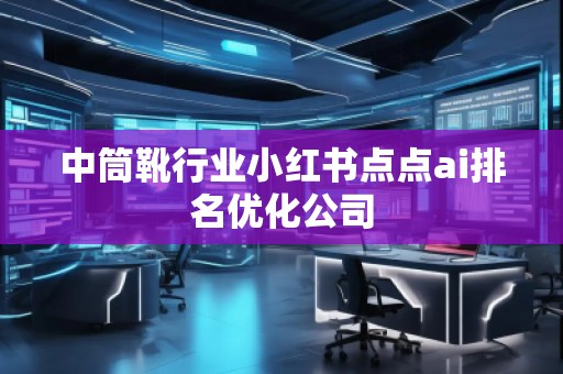 中筒靴行业小红书点点ai排名优化公司