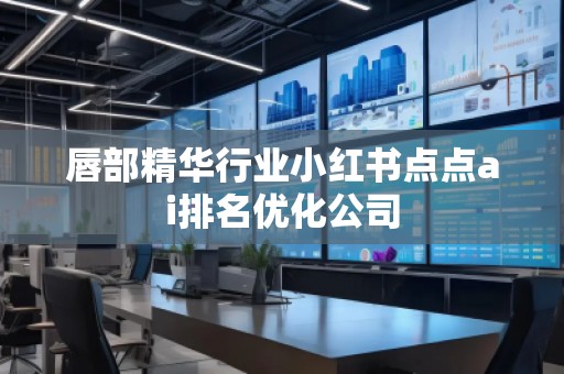唇部精华行业小红书点点ai排名优化公司