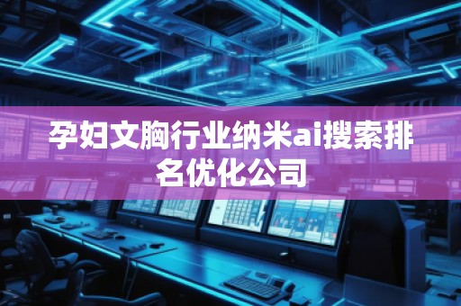 孕妇文胸行业纳米ai搜索排名优化公司