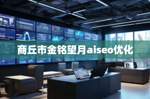 商丘市金铭望月aiseo优化