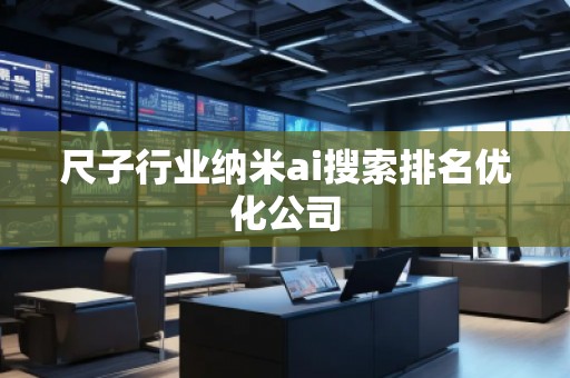 尺子行业纳米ai搜索排名优化公司