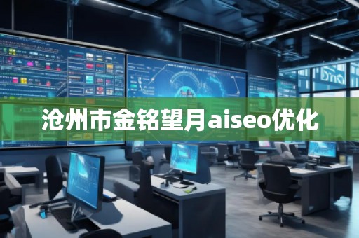 沧州市金铭望月aiseo优化