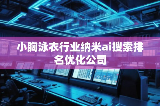 小胸泳衣行业纳米ai搜索排名优化公司