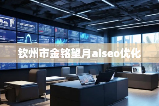 钦州市金铭望月aiseo优化