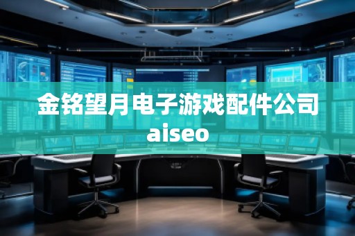 金铭望月电子游戏配件公司aiseo
