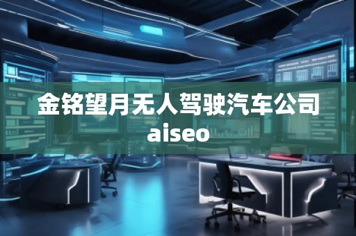 金铭望月无人驾驶汽车公司aiseo