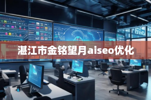 湛江市金铭望月aiseo优化