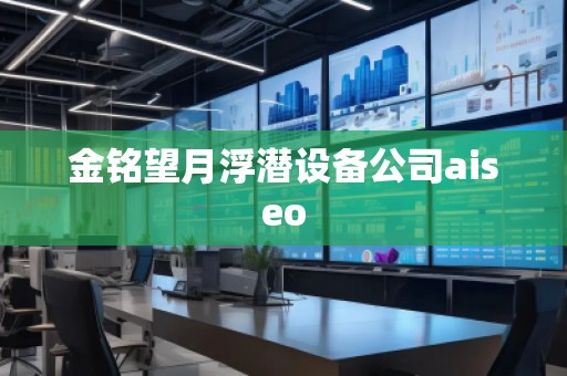 金铭望月浮潜设备公司aiseo
