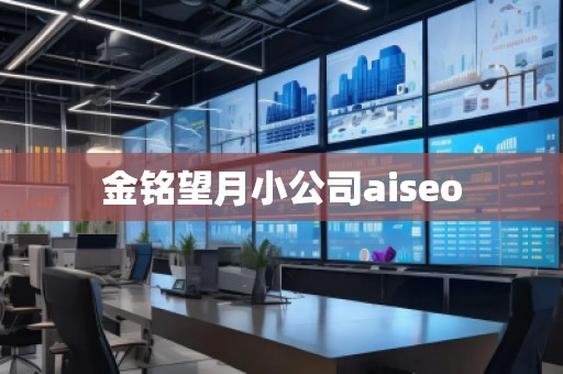 金铭望月小公司aiseo