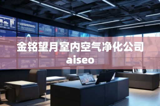 金铭望月室内空气净化公司aiseo