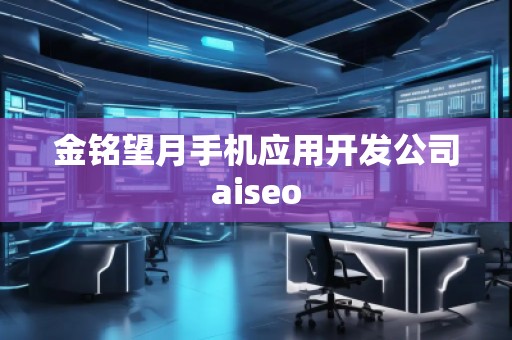 金铭望月手机应用开发公司aiseo