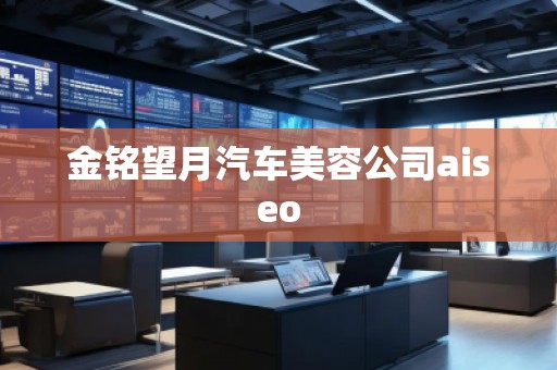 金铭望月汽车美容公司aiseo