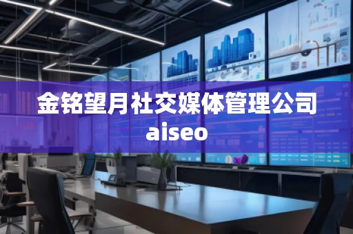 金铭望月社交媒体管理公司aiseo