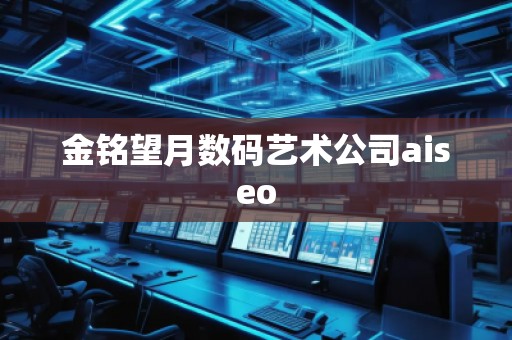金铭望月数码艺术公司aiseo