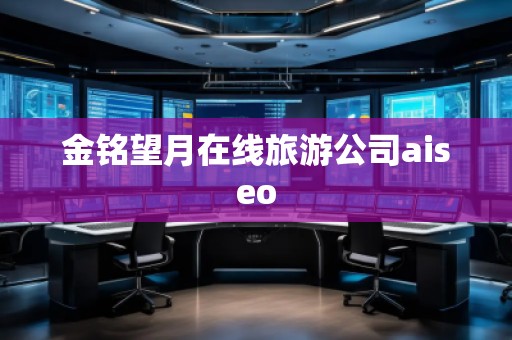 金铭望月在线旅游公司aiseo