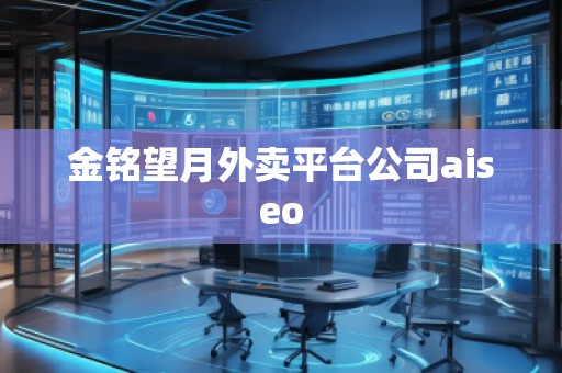 金铭望月外卖平台公司aiseo