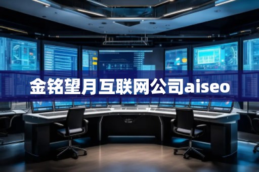金铭望月互联网公司aiseo
