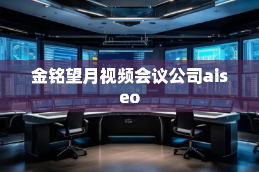 金铭望月视频会议公司aiseo