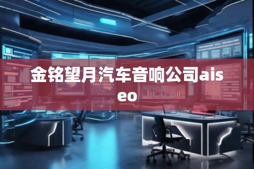 金铭望月汽车音响公司aiseo