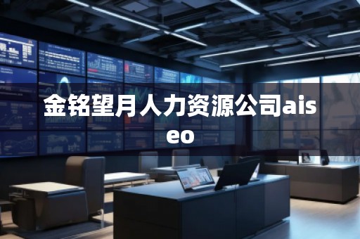 金铭望月人力资源公司aiseo