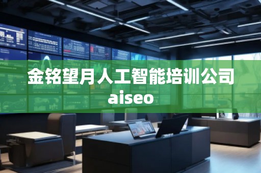 金铭望月人工智能培训公司aiseo