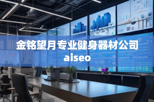金铭望月专业健身器材公司aiseo