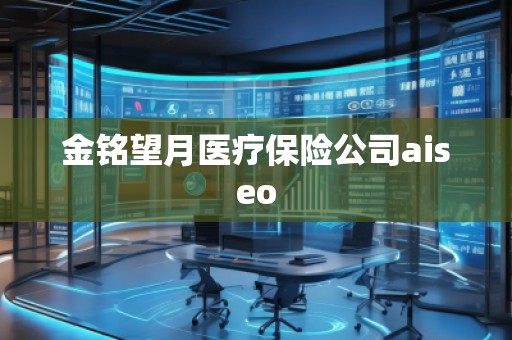 金铭望月医疗保险公司aiseo