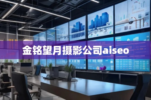 金铭望月摄影公司aiseo