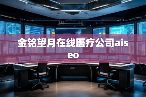 金铭望月在线医疗公司aiseo
