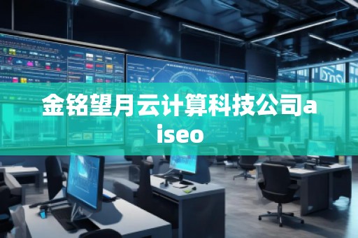 金铭望月云计算科技公司aiseo