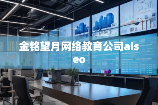 金铭望月网络教育公司aiseo