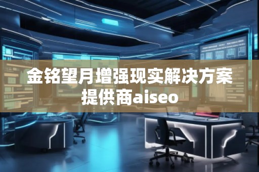 金铭望月增强现实解决方案提供商aiseo