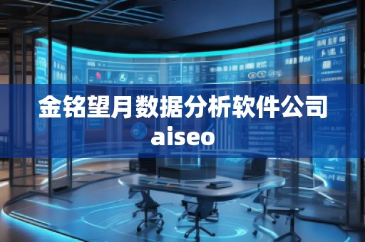 金铭望月数据分析软件公司aiseo