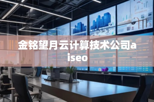 金铭望月云计算技术公司aiseo
