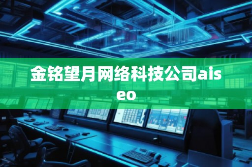 金铭望月网络科技公司aiseo