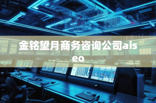 金铭望月商务咨询公司aiseo