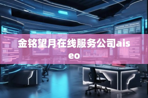 金铭望月在线服务公司aiseo