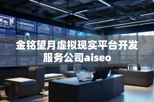 金铭望月虚拟现实平台开发服务公司aiseo