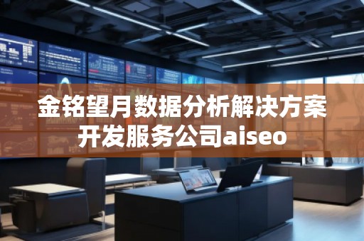 金铭望月数据分析解决方案开发服务公司aiseo