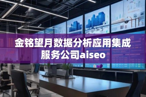 金铭望月数据分析应用集成服务公司aiseo