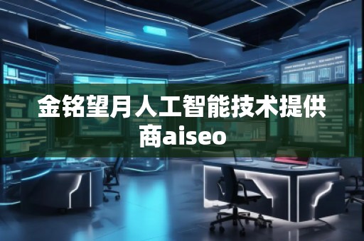 金铭望月人工智能技术提供商aiseo